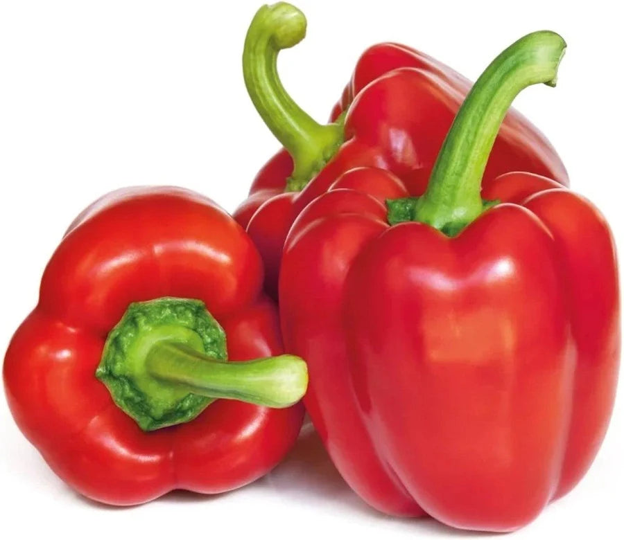 Capsicum Red