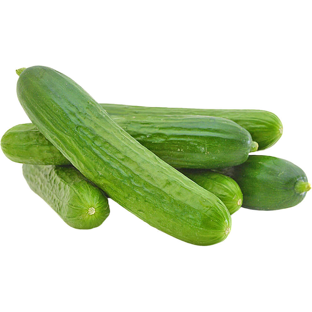 Cucumber