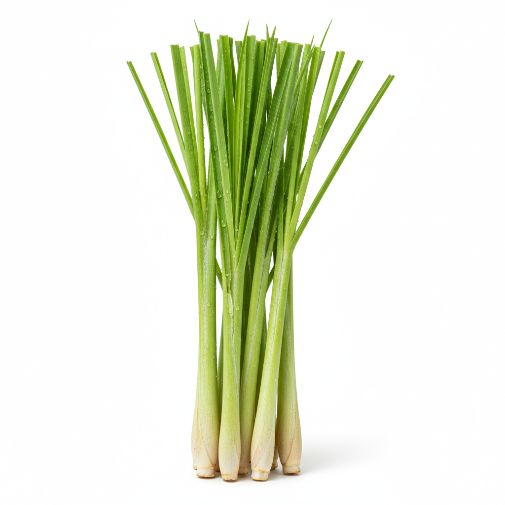 Lemon Grass