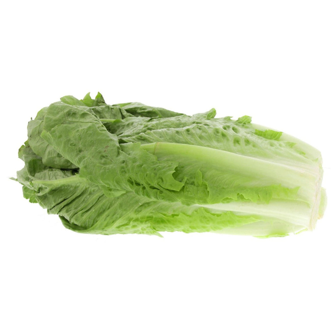 Lettuce Romaine