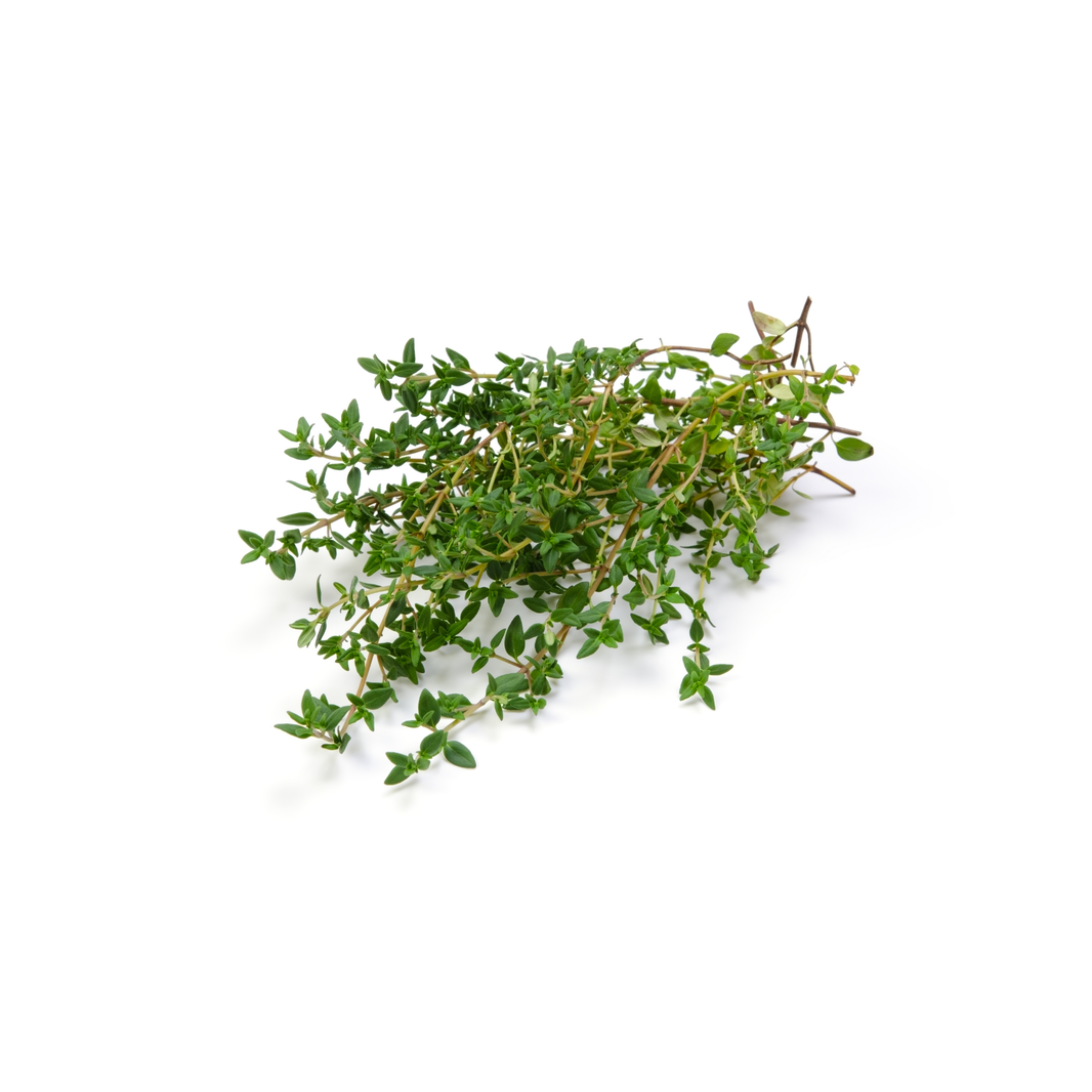 Thyme