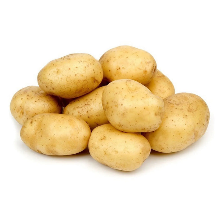 Agria Potatoes (Lebanon)