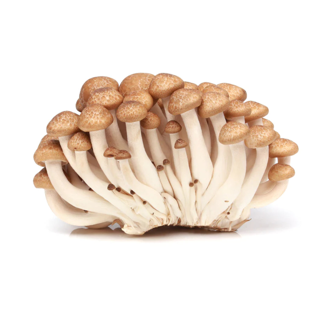 Brown Shimeji Mushrooms