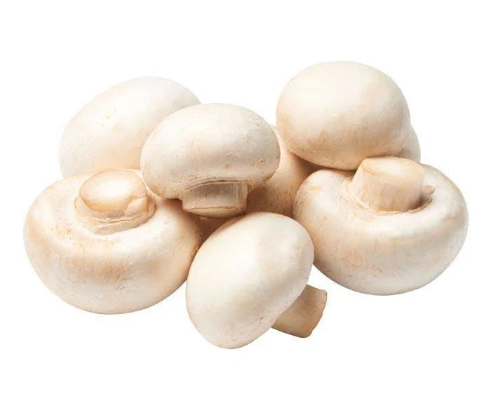Mushrooms White Holland