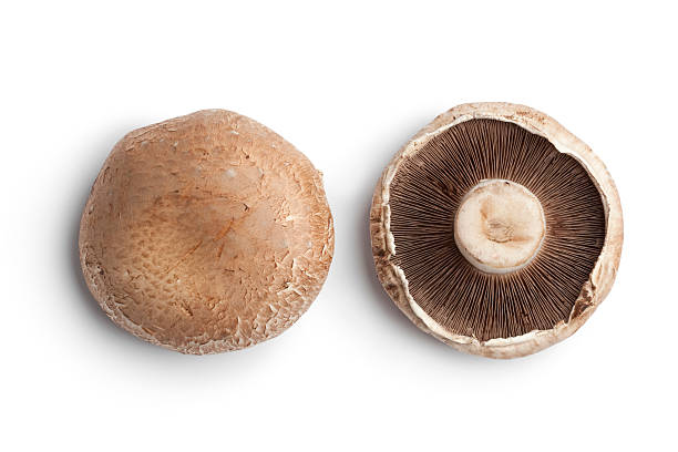 Portobello Mushrooms (Oman)
