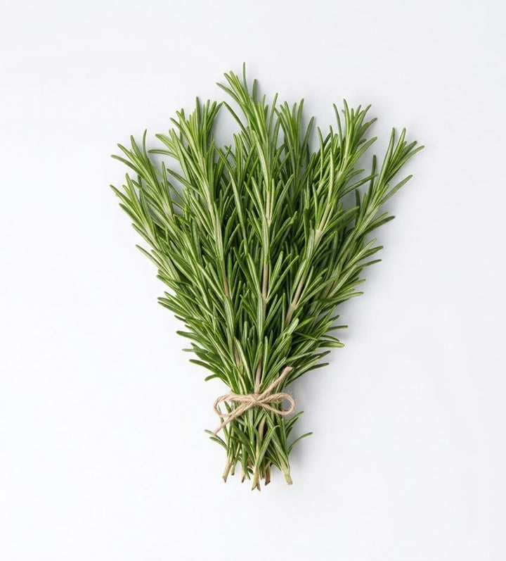 Rosemary