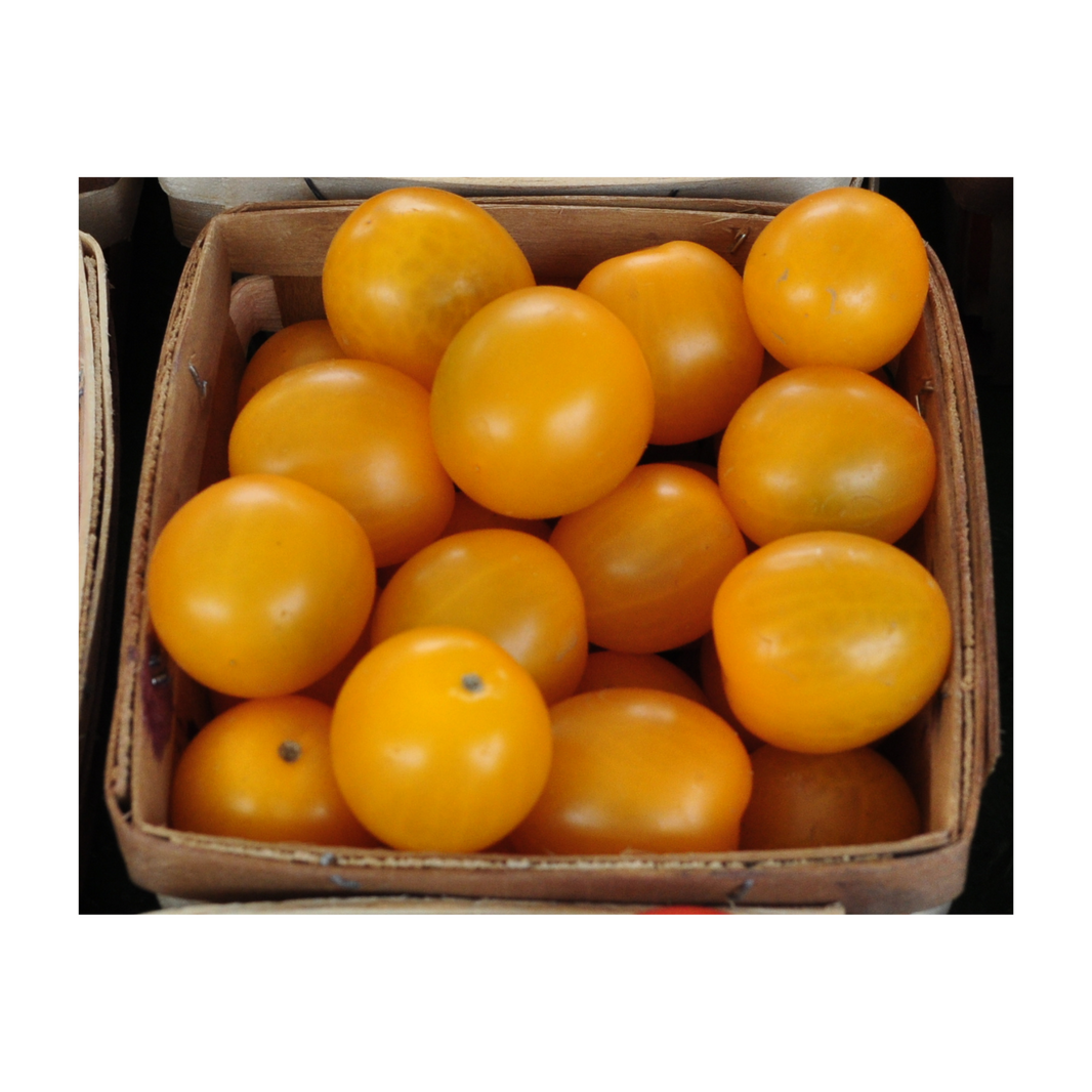 Cherry Tomato Yellow