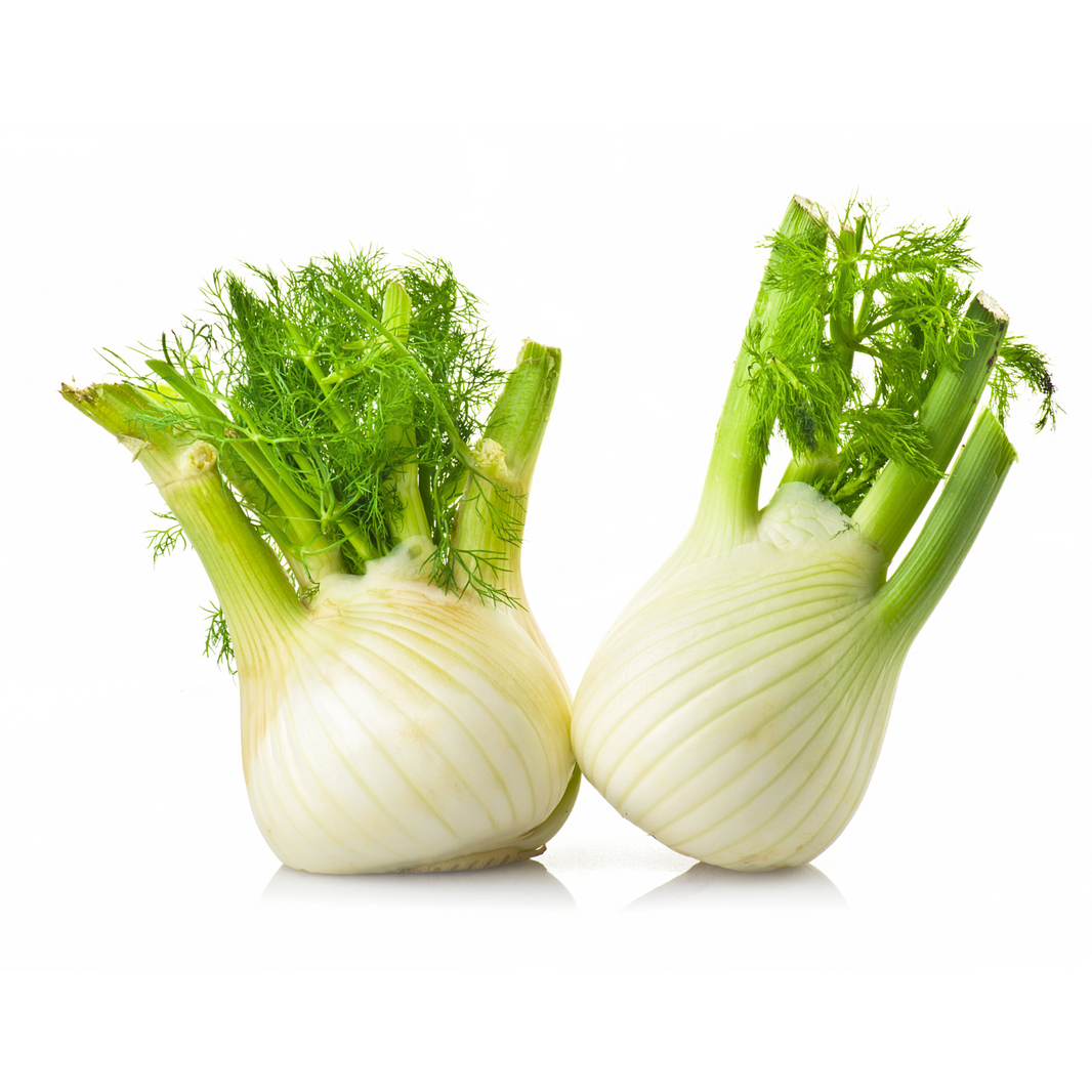 Fennel Holland