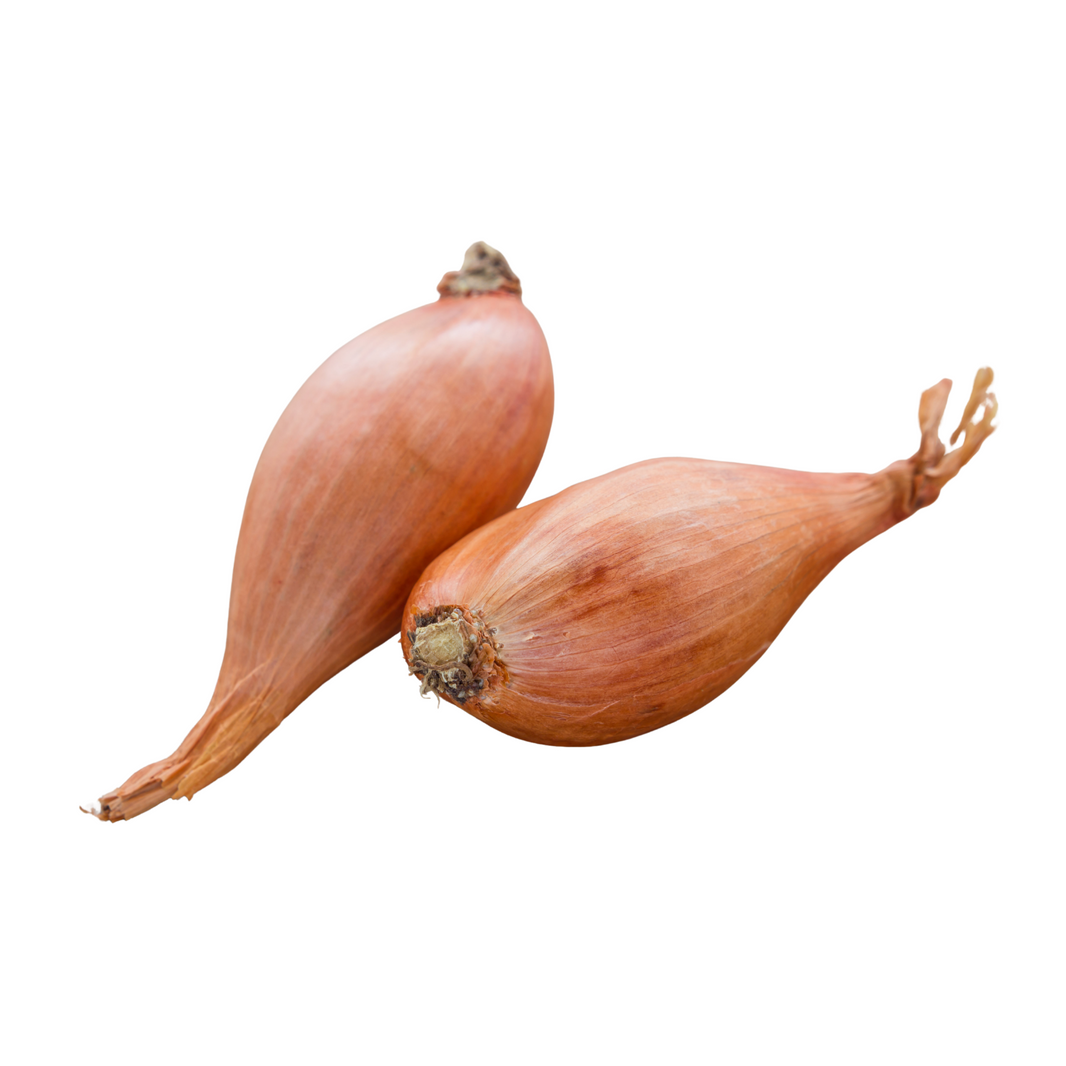 Onion Shallot Brown