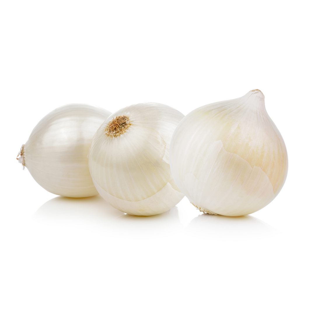 Onion White