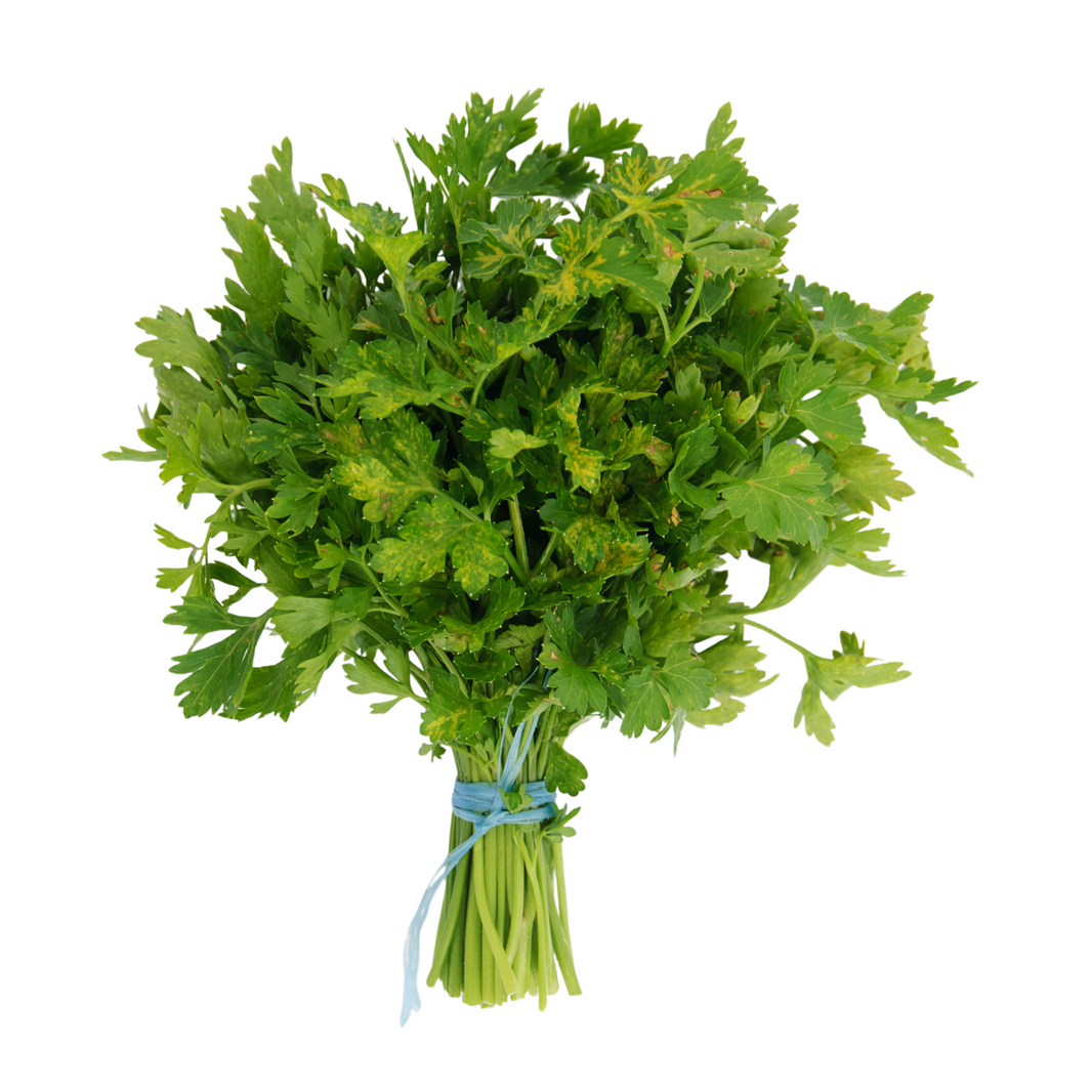 Parsley Leaves