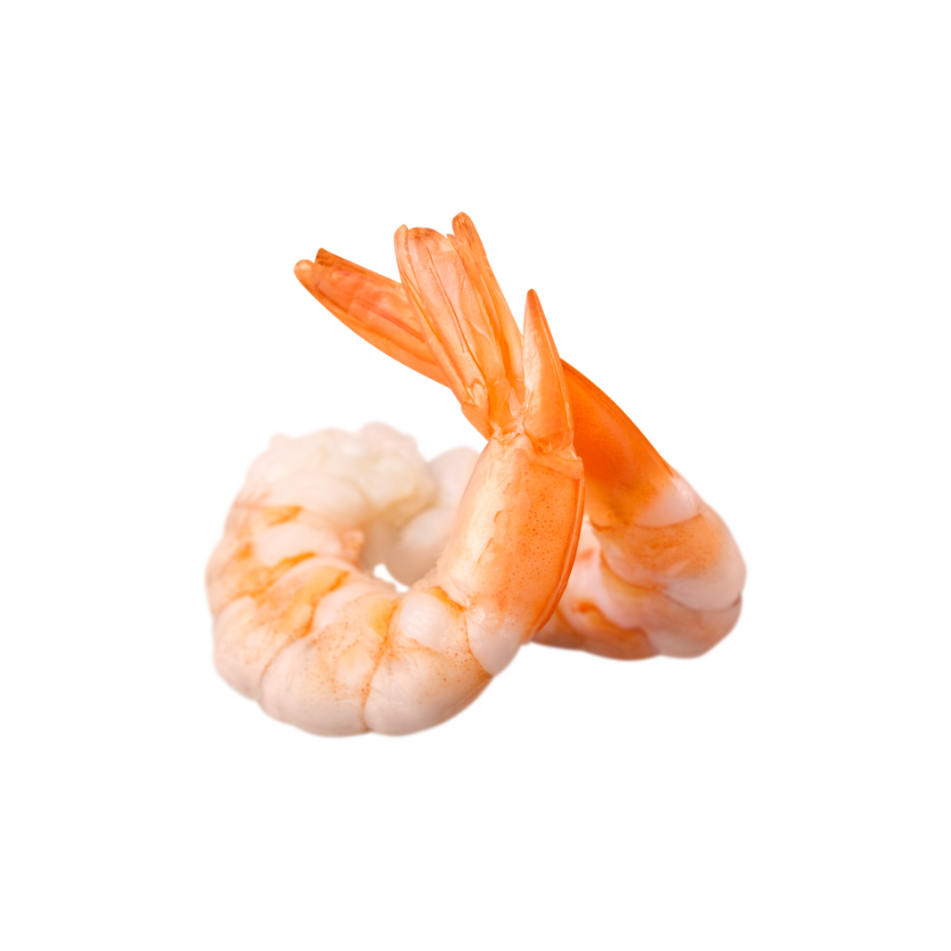 SHRIMP PD 25/21