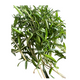 Zatar Leaves