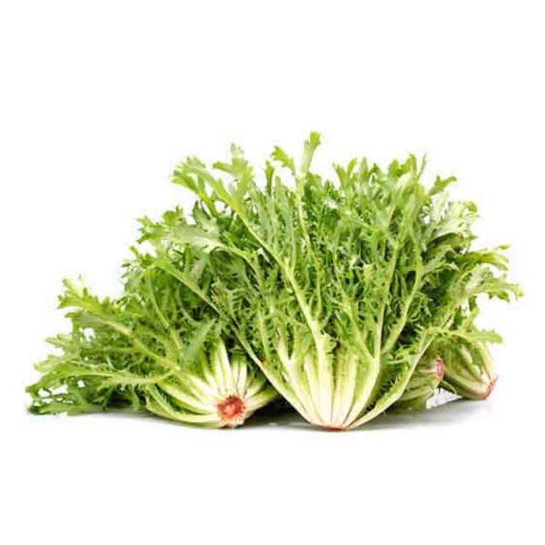 Lettuce Frisee