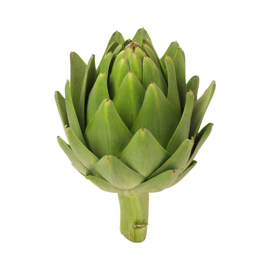 Artichoke