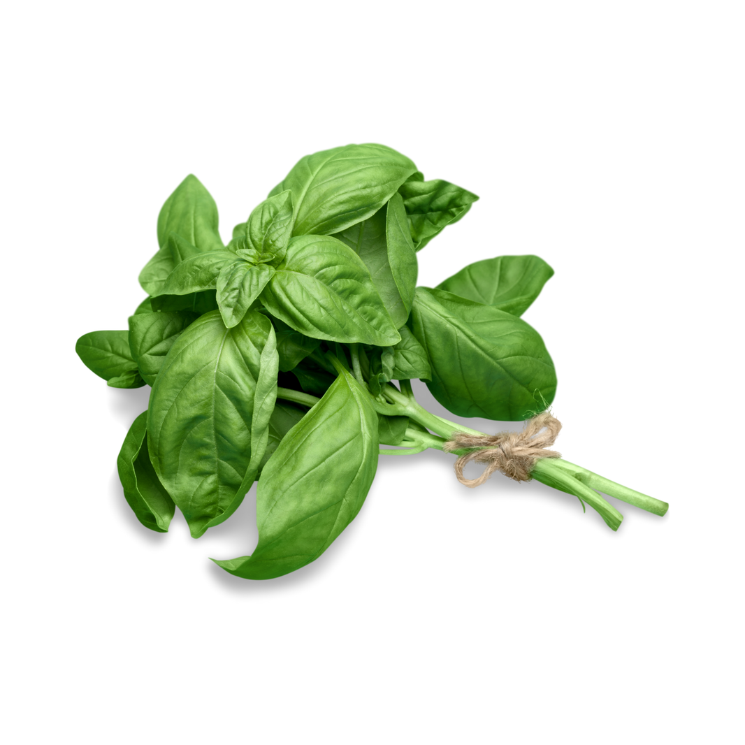 Basil Loose