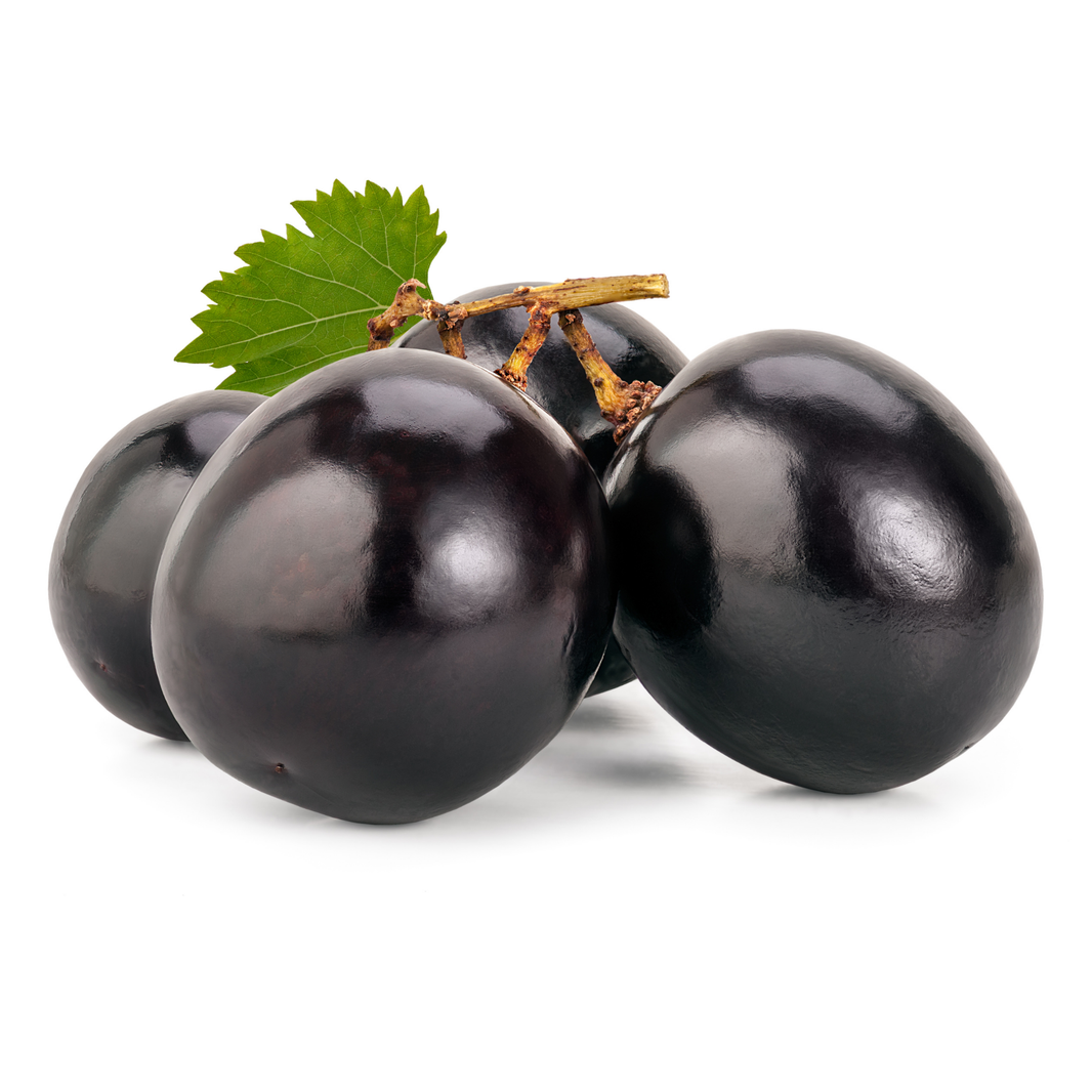 Black Berries