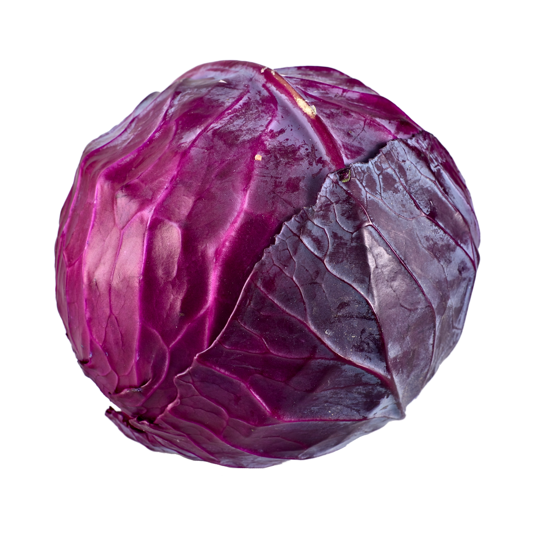Cabbage Red