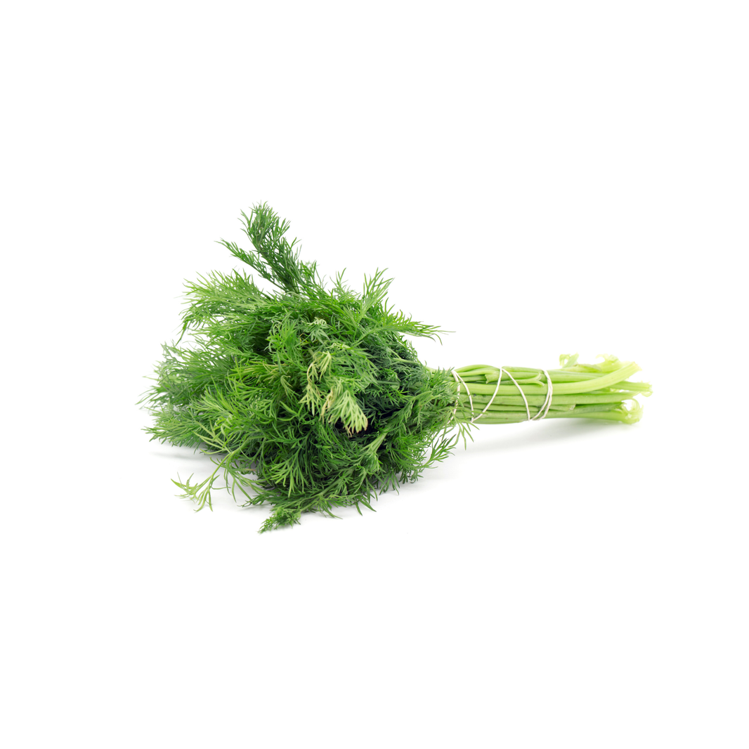 Dill Leaves