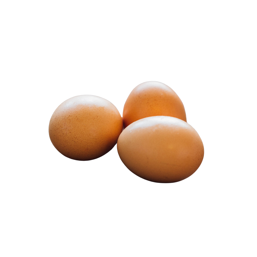 Egg Turkey