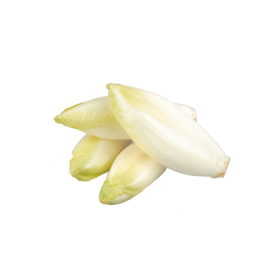 Endive