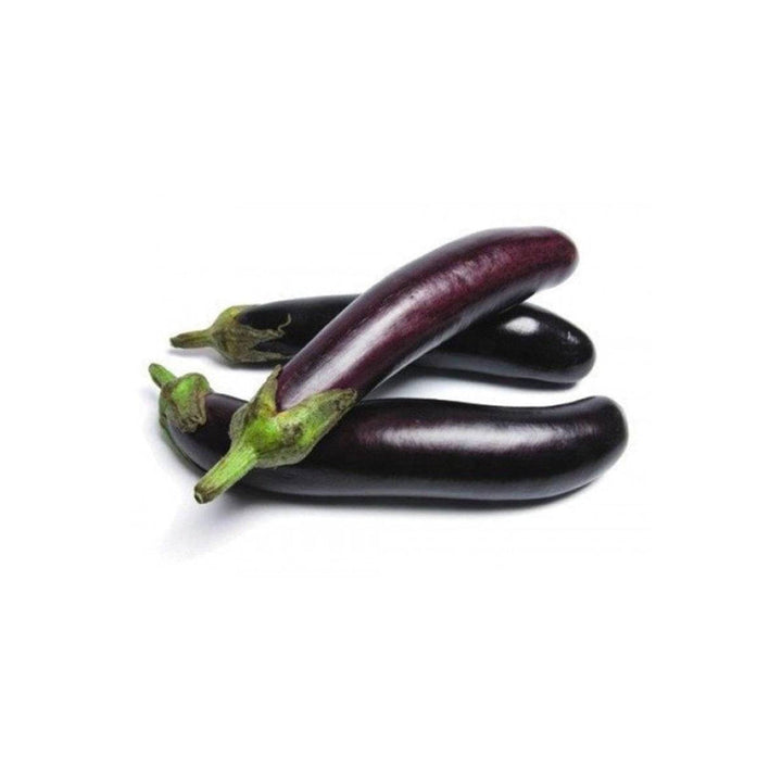 باذنجان طويل
