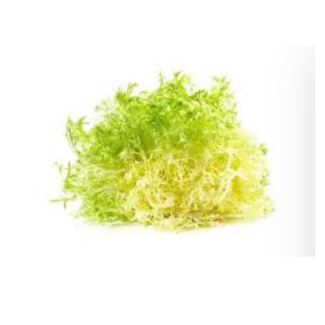 Frisee Yellow