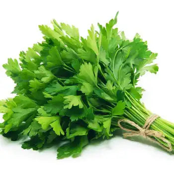 Parsley Leaves