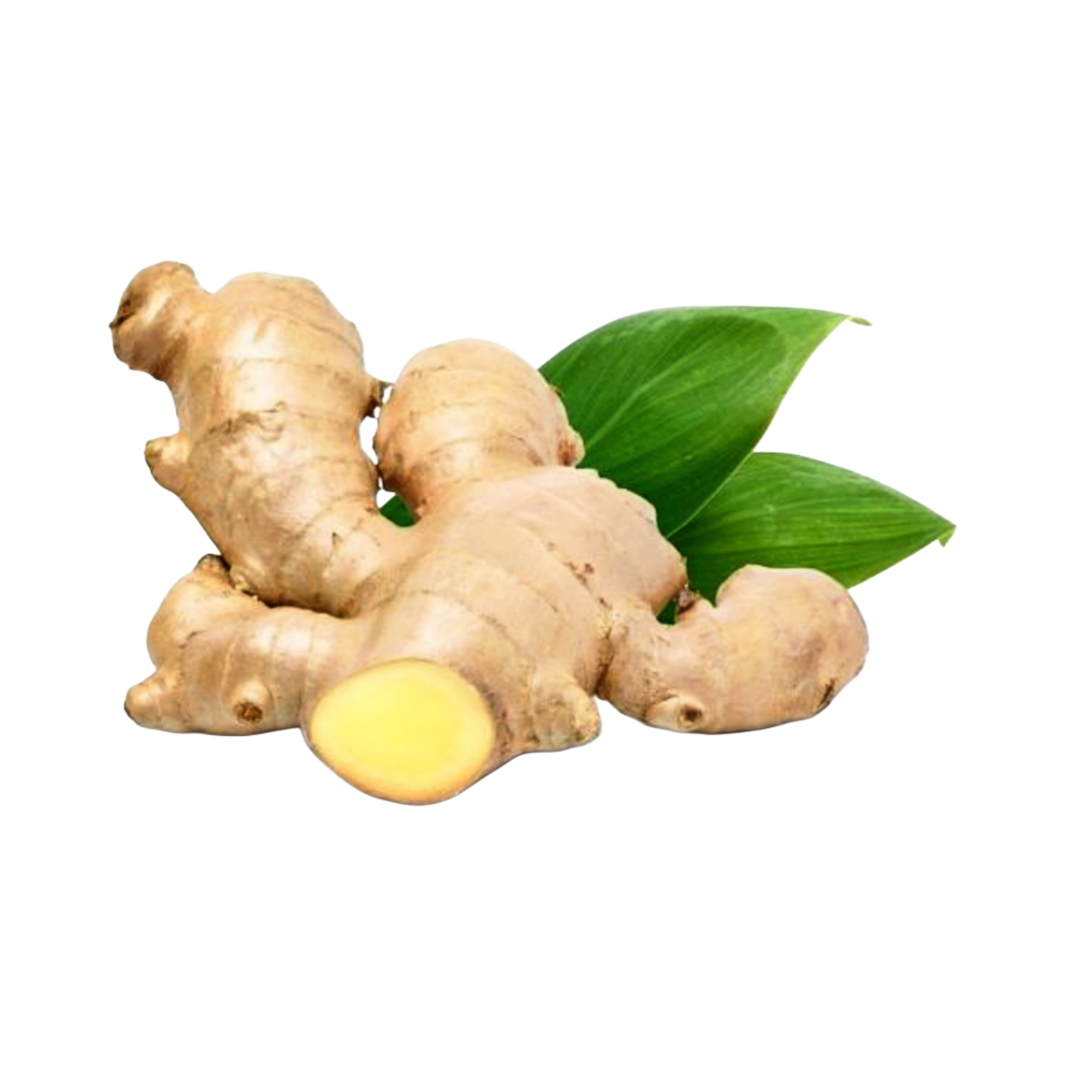 Ginger