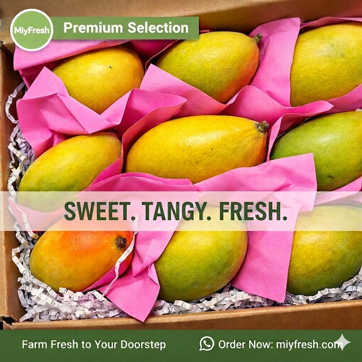 Mango 2kg box
