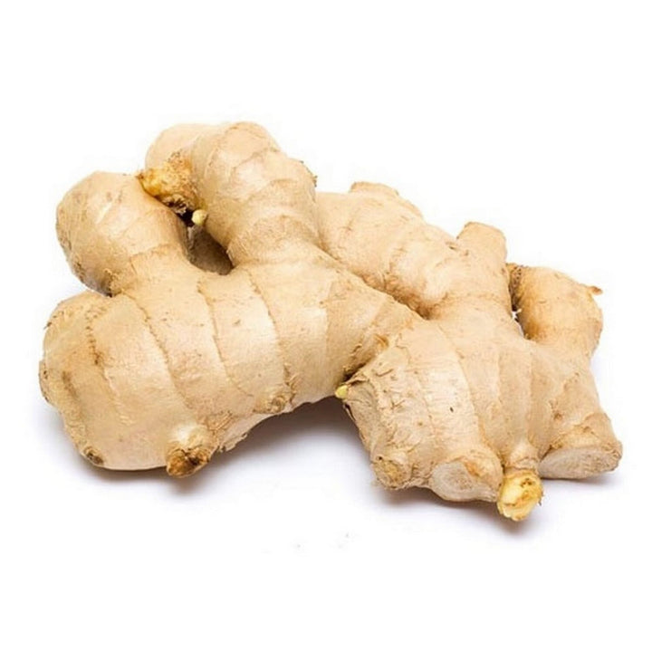 الزنجبيل