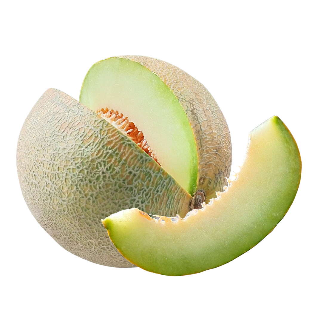 Honey Dew Melon