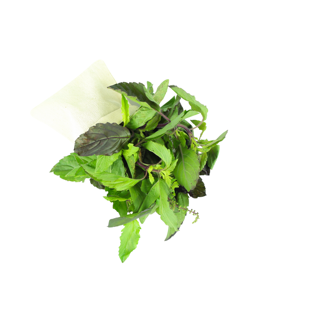 Hot Basil