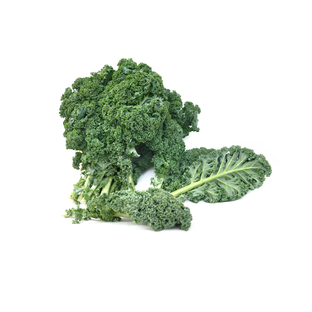 Kale Holland