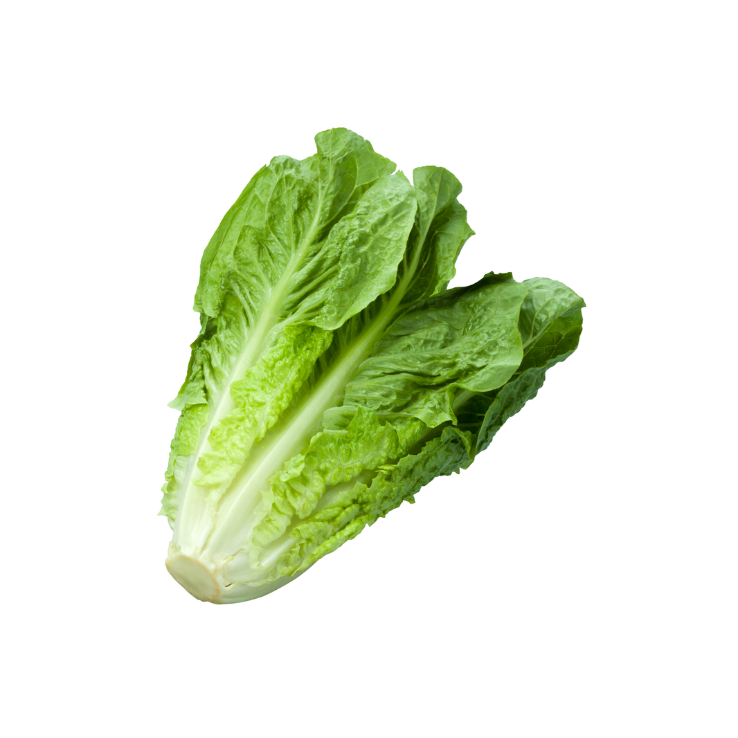Lettuce Frisee