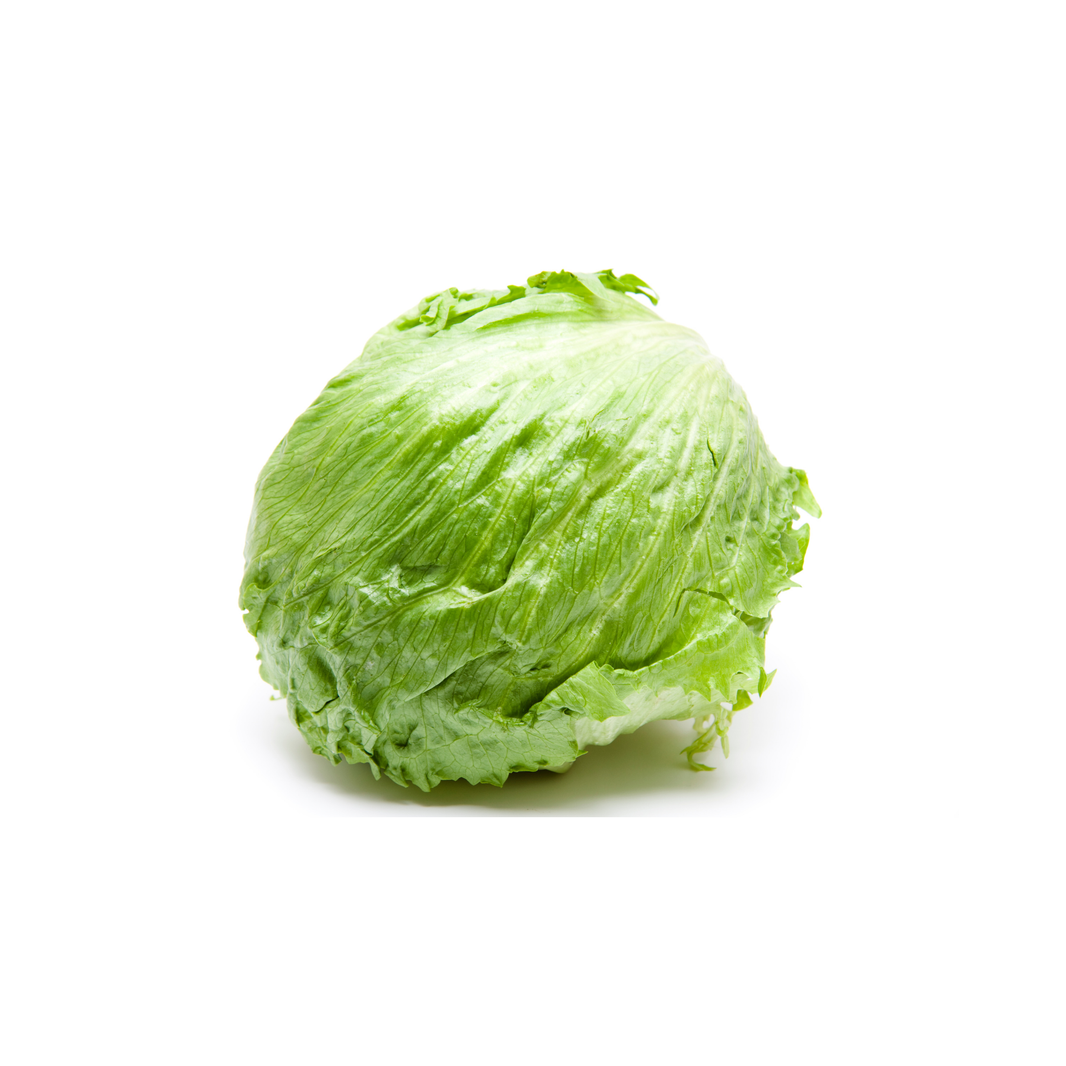 Lettuce Iceberg