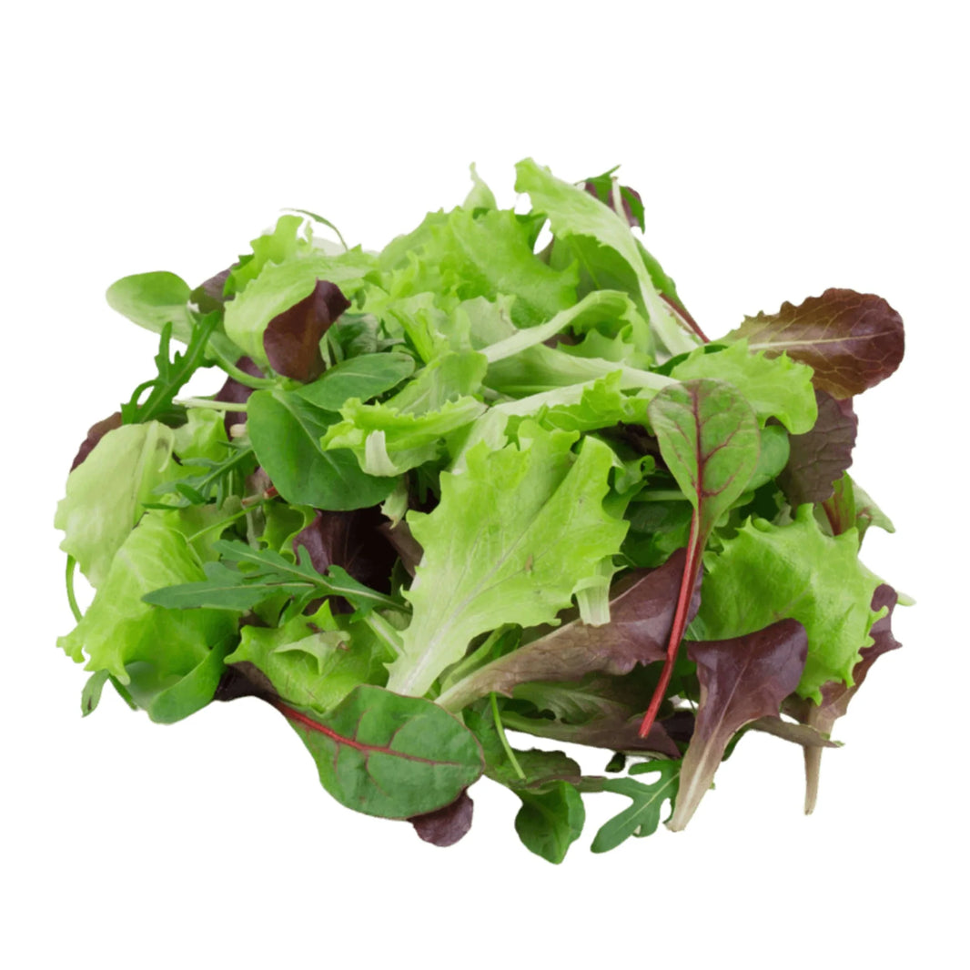 Mesclun Mix