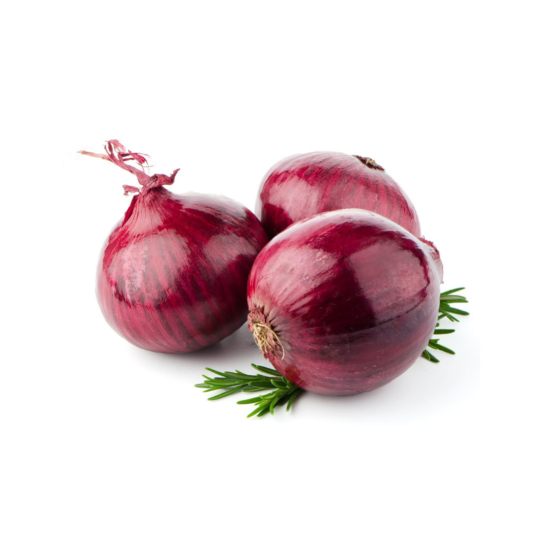 Onion Red
