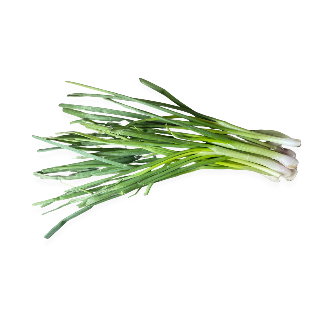 Onion Spring (Pcs)