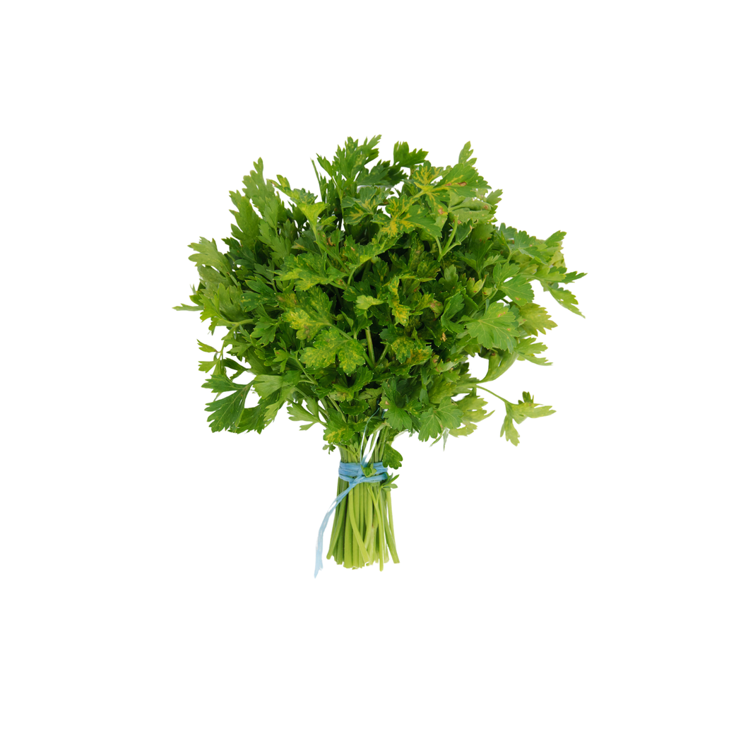 Parsley English