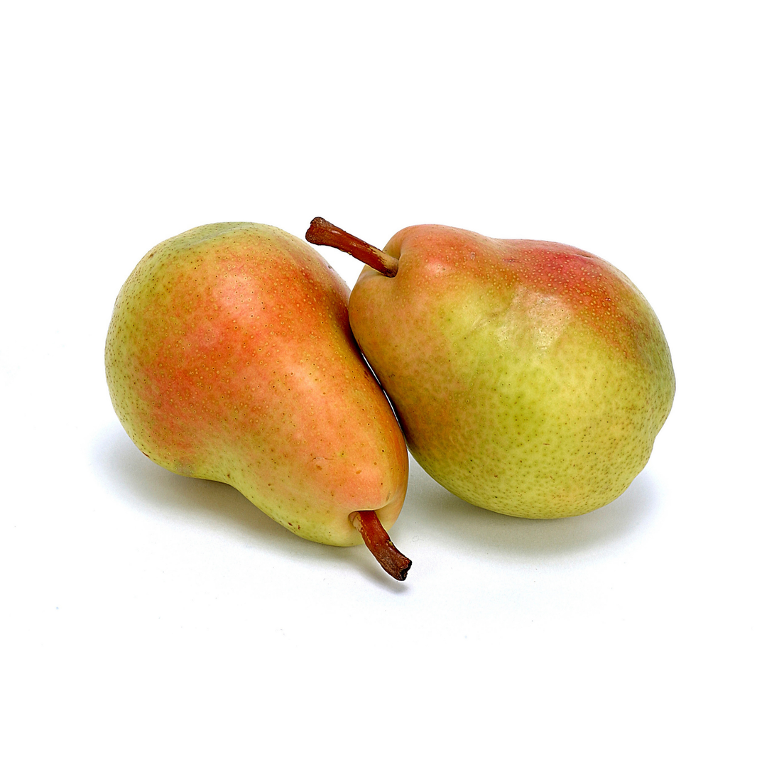 Pears S/A