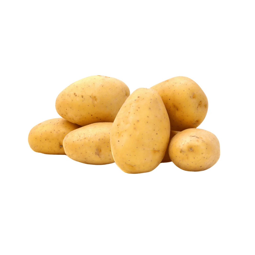 Agria Potatoes (Netherlands)