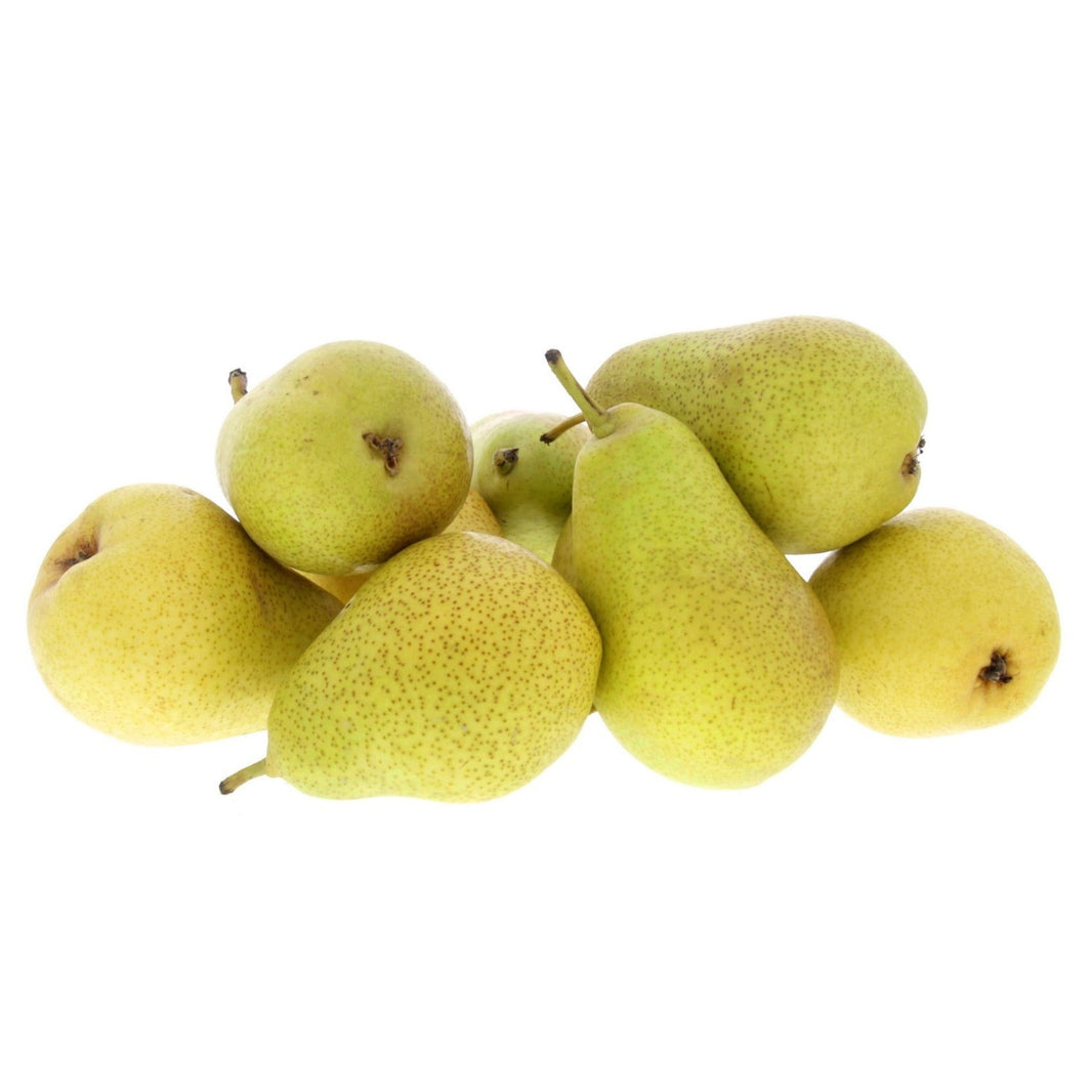 كمثرى