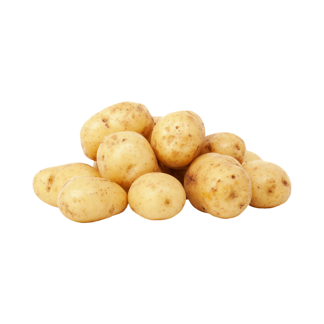 Potato (Lebanon/Egypt)