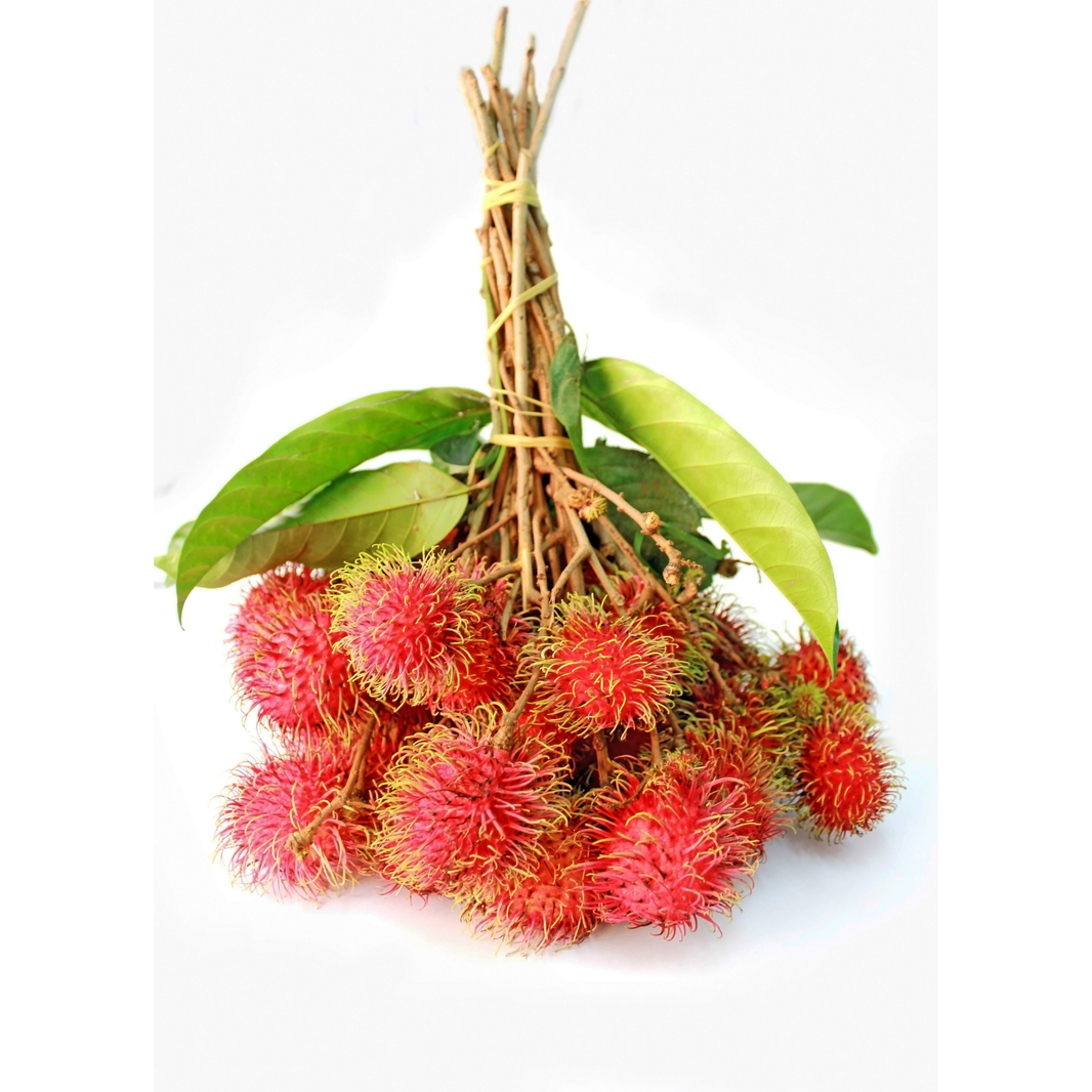 Rambutan