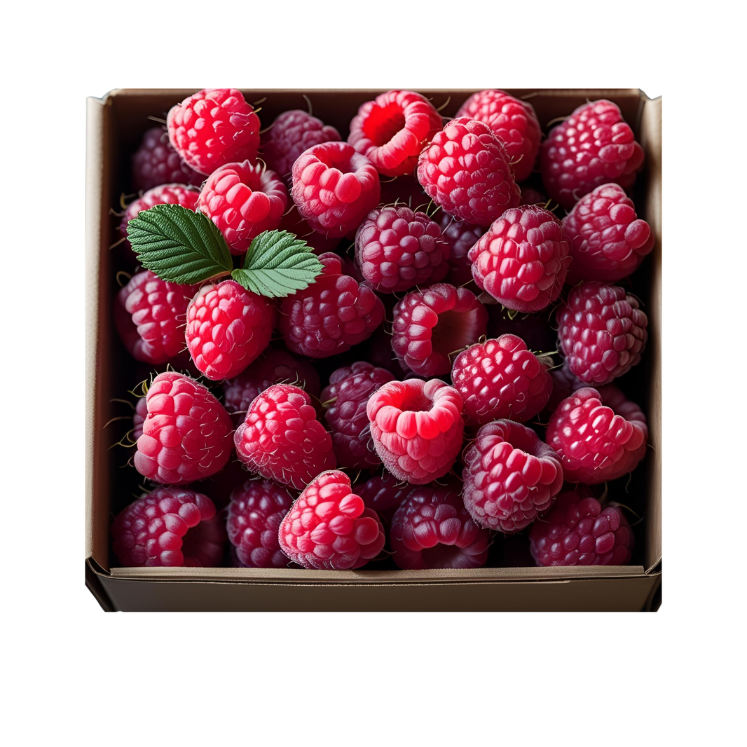 Raspberry (Driscoll)