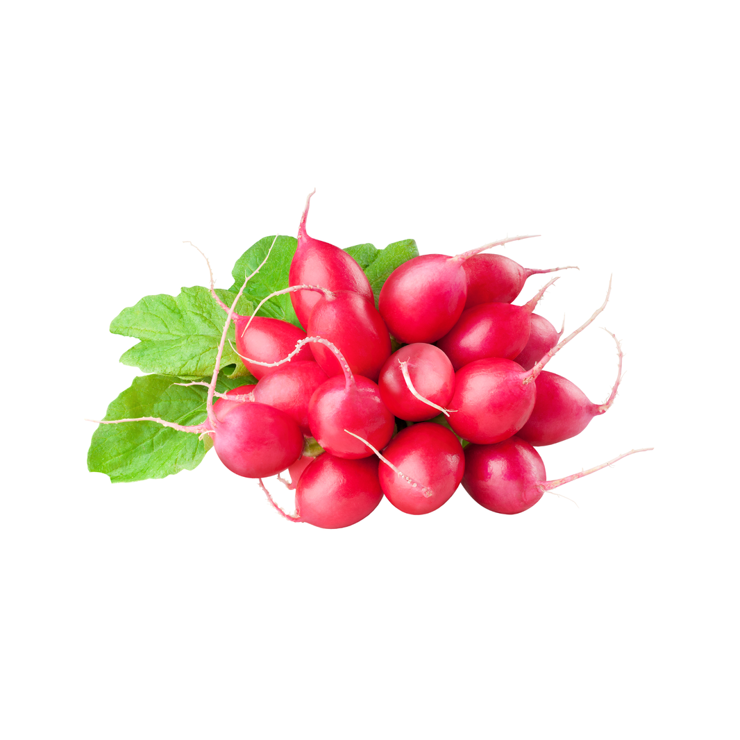 Red Radish