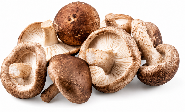Shiitake Mushrooms