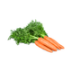 Top Carrot