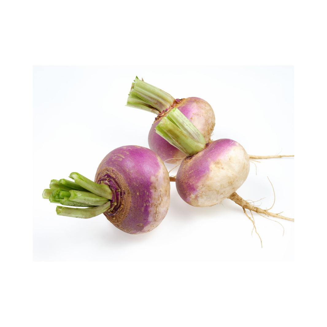 Turnip